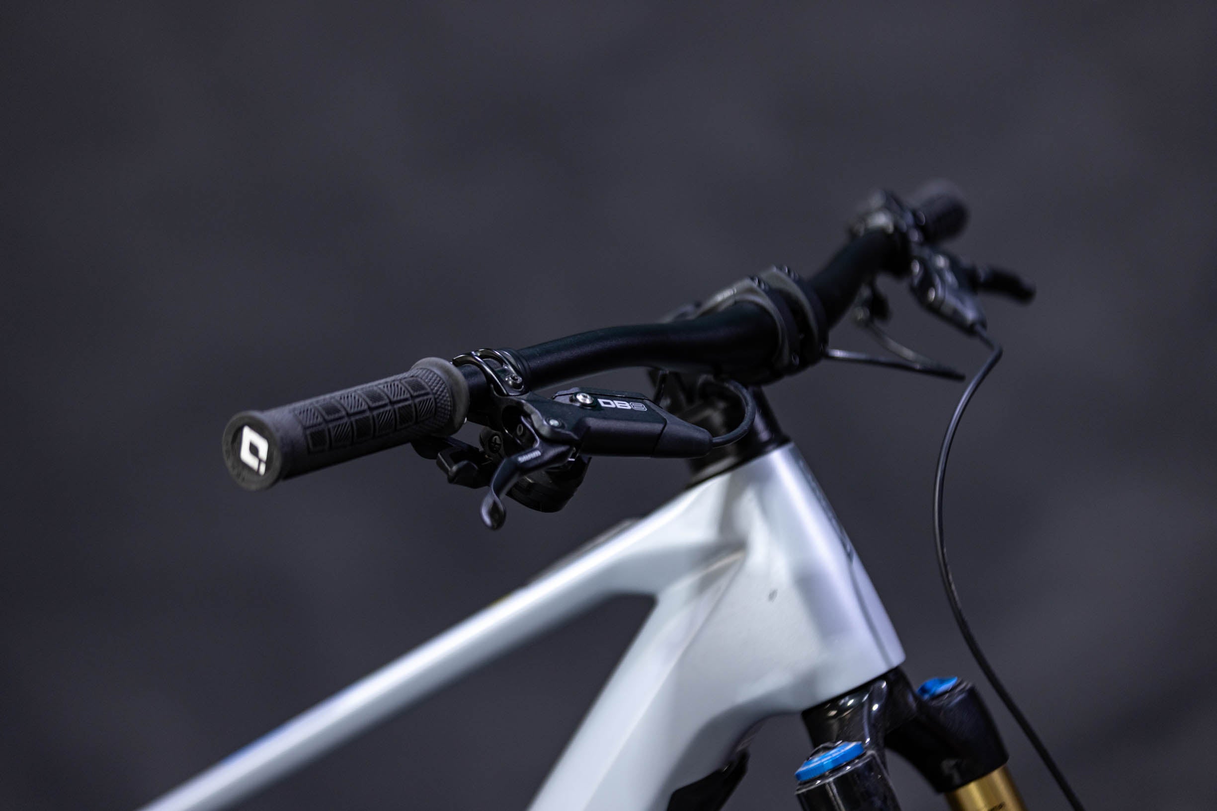 Bicicleta de Montaña Asistida Doble Suspensión Orbea Wild E 29" Talla Large (2025) Seminueva