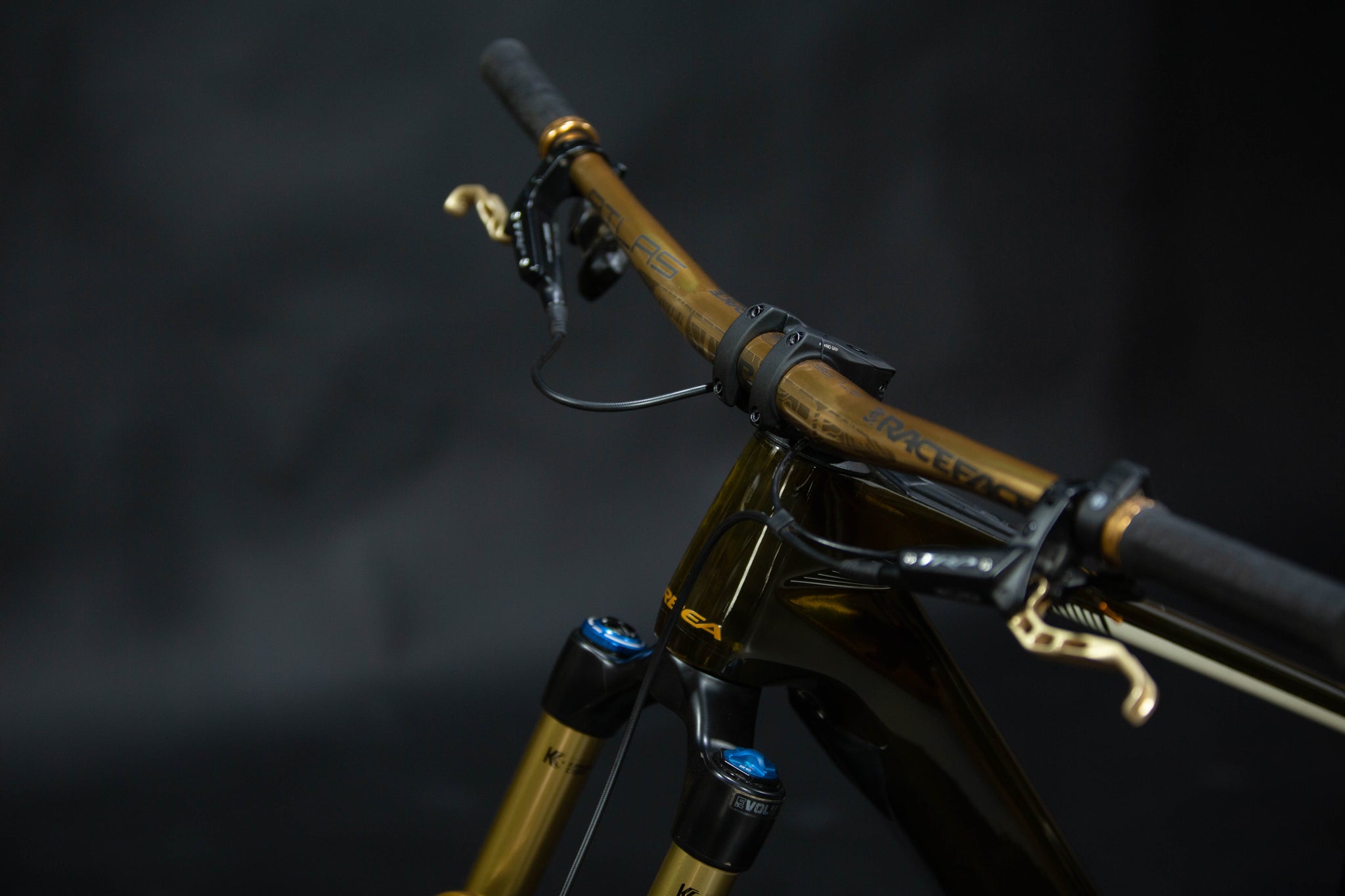Bicicleta de Montaña Asistida Doble Suspensión Orbea Wild M-LTD 29" Talla Medium (2025) Seminueva