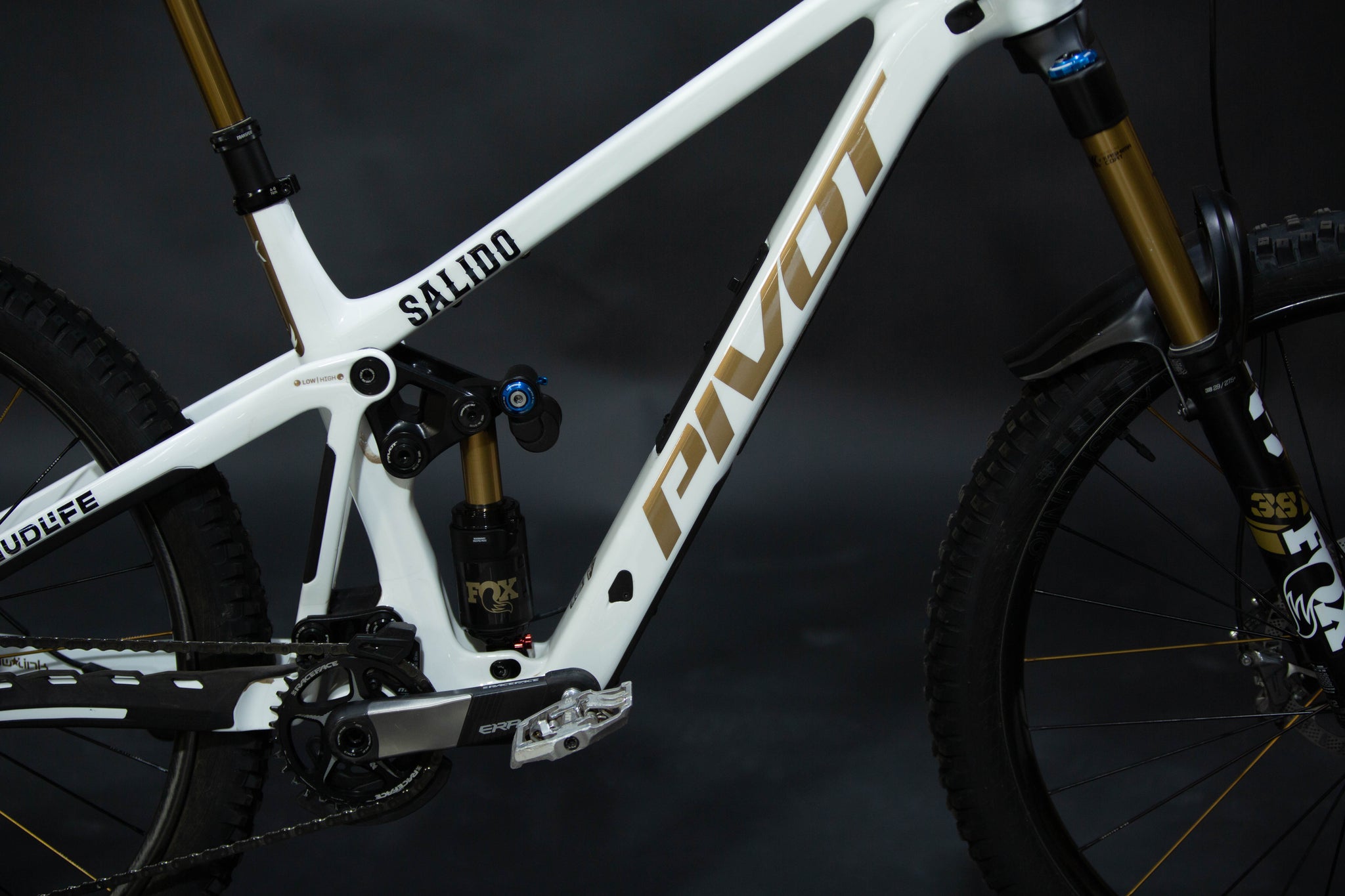 Bicicleta De Montaña Doble Suspensión Pivot Cycles Firebird 29" Talla Medium (2025) Seminueva