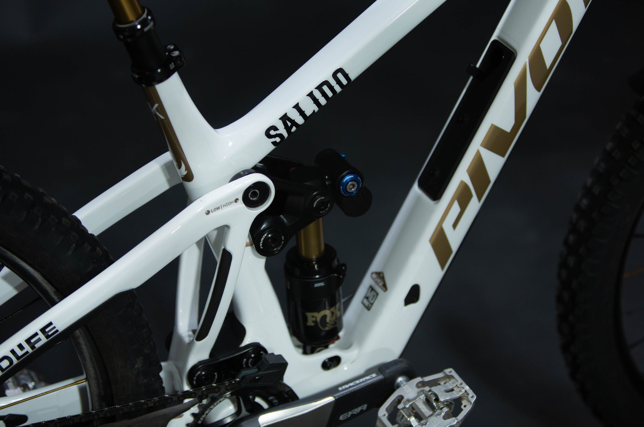 Bicicleta De Montaña Doble Suspensión Pivot Cycles Firebird 29" Talla Medium (2025) Seminueva
