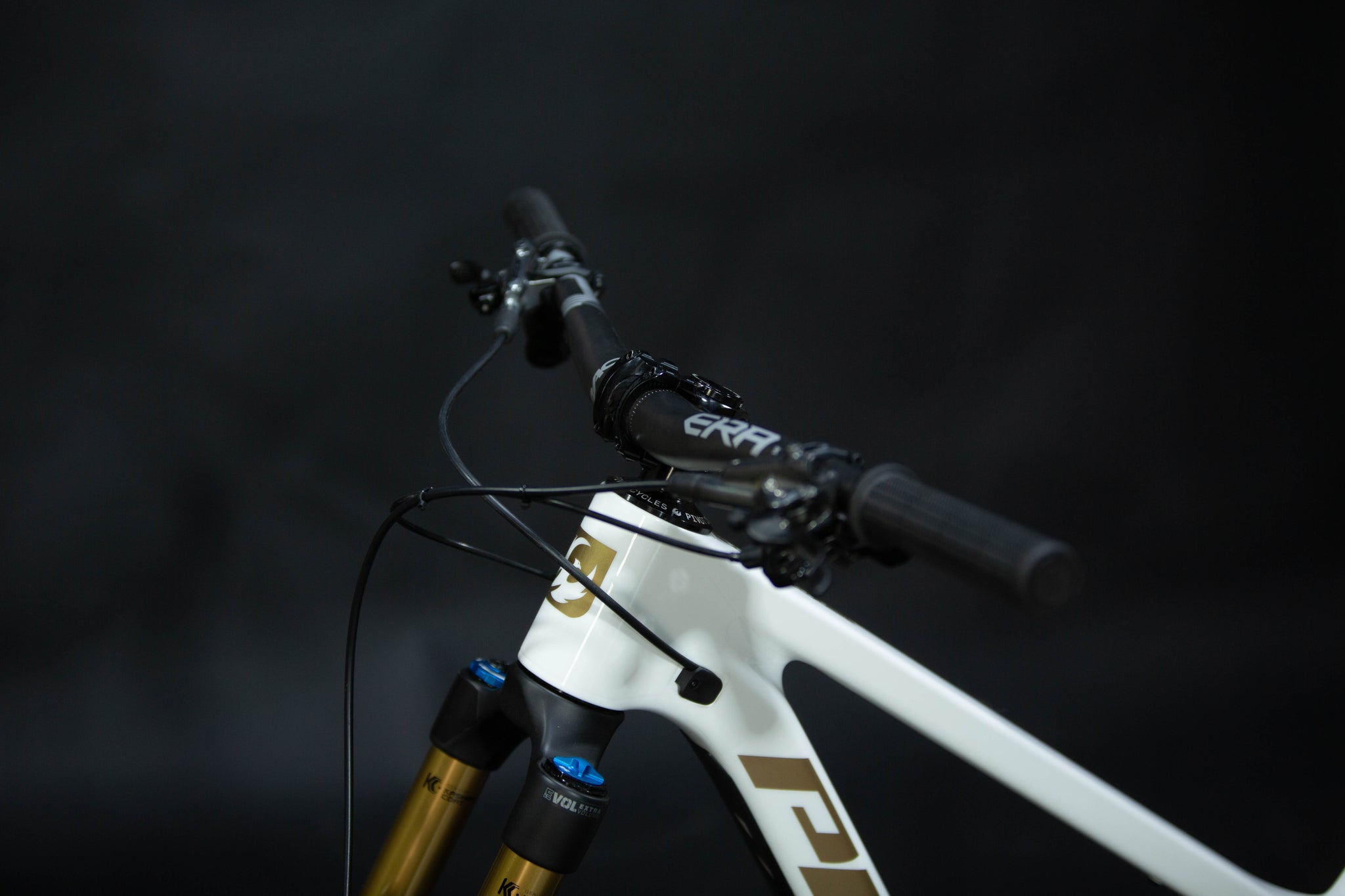Bicicleta De Montaña Doble Suspensión Pivot Cycles Firebird 29" Talla Medium (2025) Seminueva