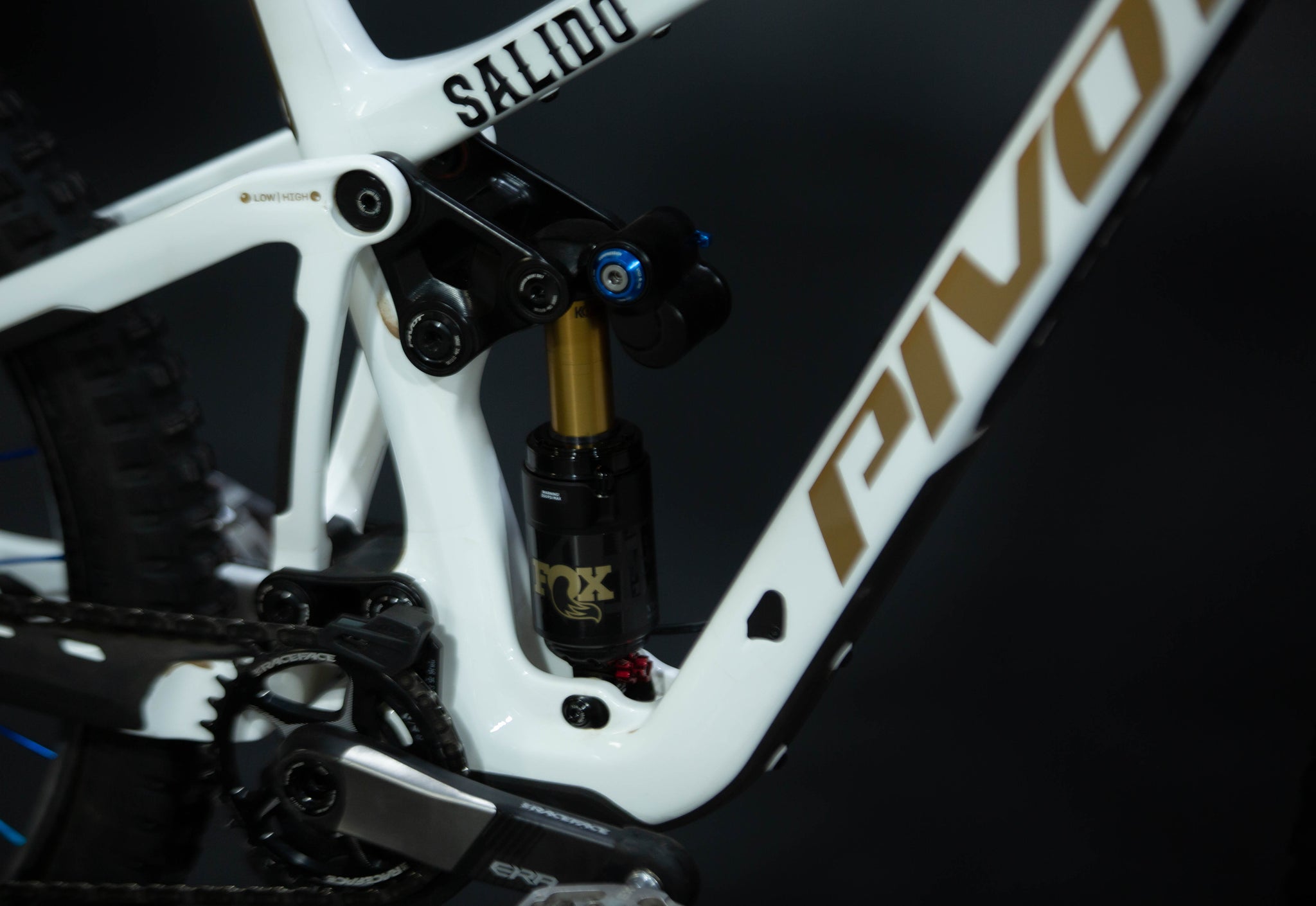 Bicicleta De Montaña Doble Suspensión Pivot Cycles Firebird 29" Talla Medium (2025) Seminueva