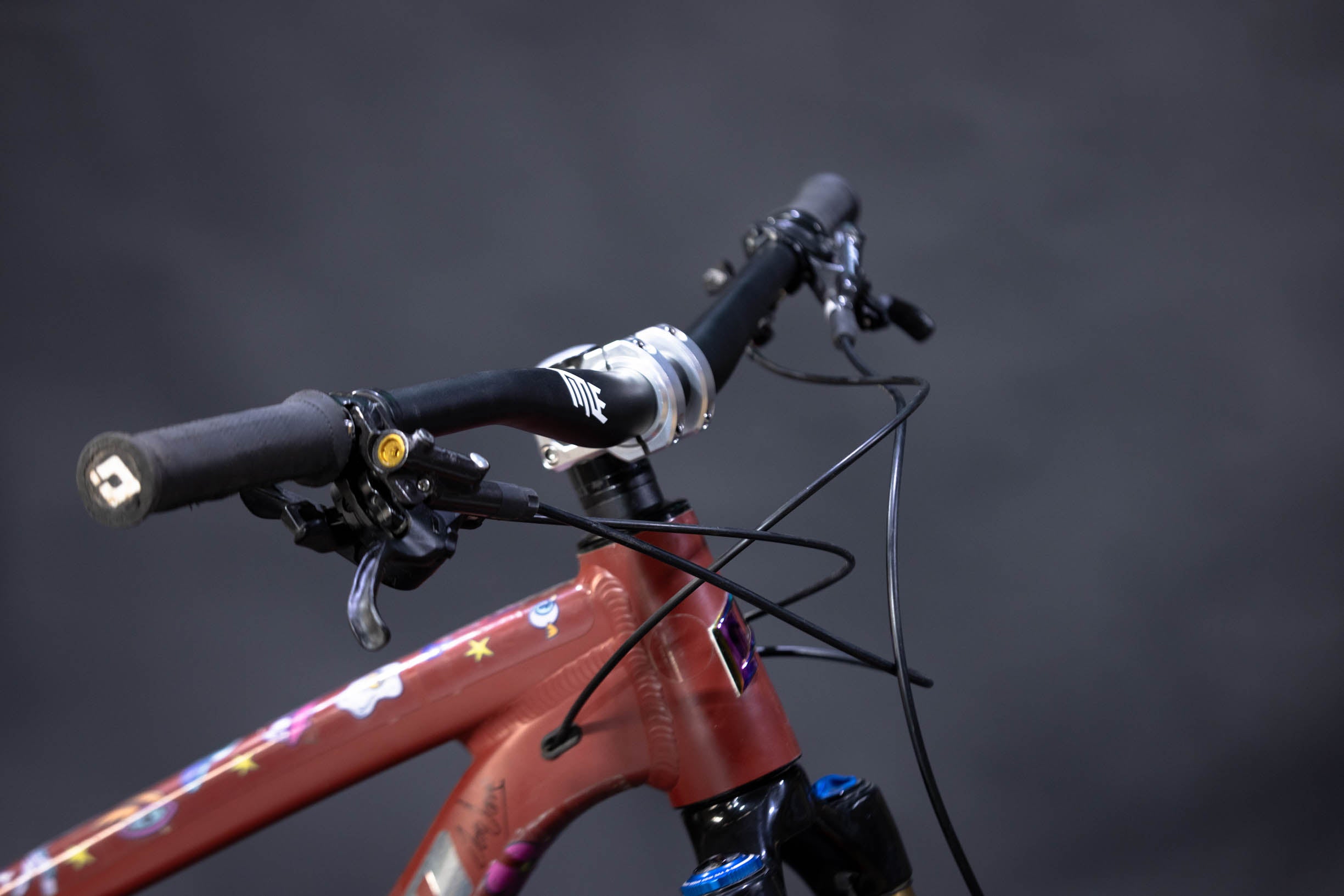 Bicicleta de Montaña Doble Suspensión Propain Tyee 5 27.5- 29" Talla Medium (2020) Seminueva