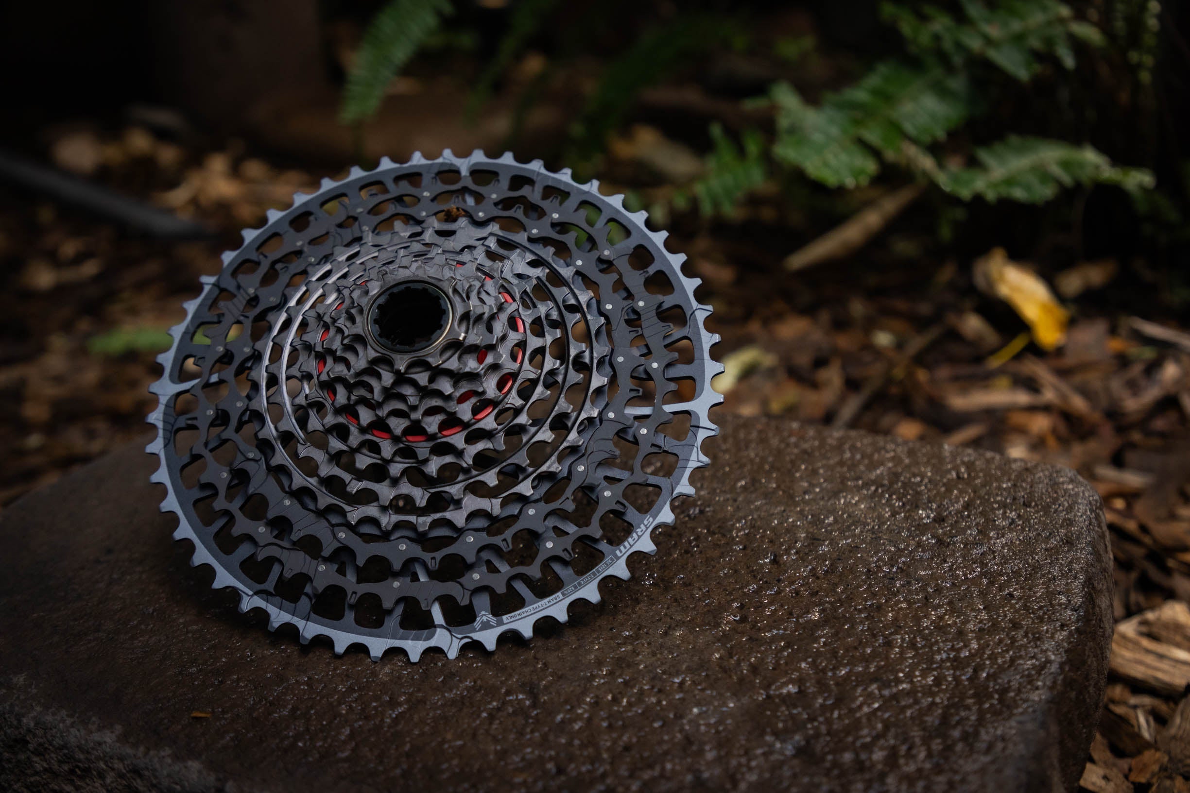 Casette Sram X0 t-type NUEVO