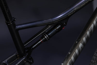Bicicleta de Montaña Doble Suspensión Specialized Epic Expert 29" Talla Large (2019) Seminueva