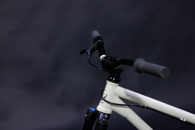 Bicicleta de ciudad Dirt Jump Pivot Point Talla Regular Rodado 26" (2024) Seminueva