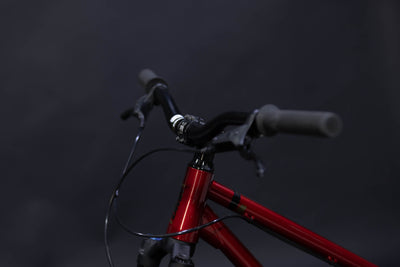 Bicicleta de ciudad Dirt Jump DMR Sect Pro Talla Regular Rodado 26" (2022) Seminueva