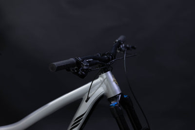Bicicleta De Montaña Doble Suspension Ibis Ripmo AF 29" Talla Medium (Seminueva) (2020)