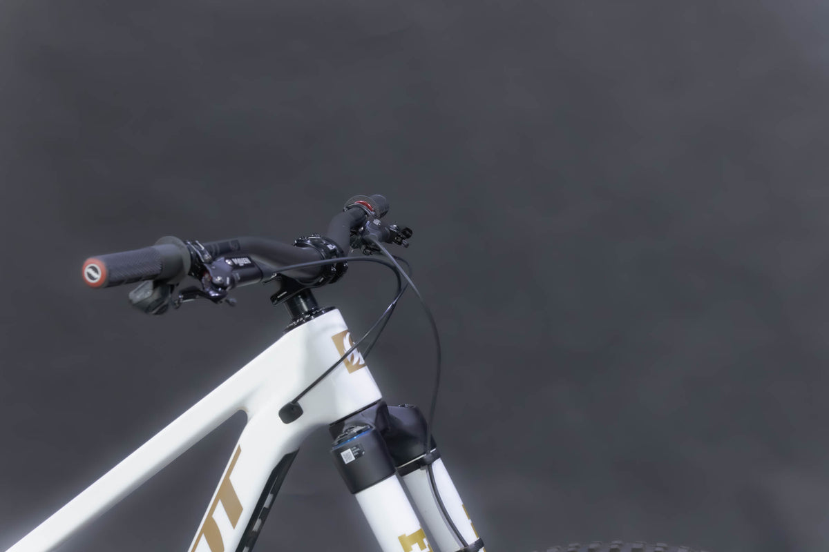 Bicicleta De Montaña Doble Suspensión Pivot Cycles Firebird 29" Talla Medium (2025) Seminueva