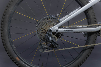Bicicleta de Montaña Asistida Doble Suspensión Amflow PL Carbon  29" Talla Medium (2025) (Seminueva)
