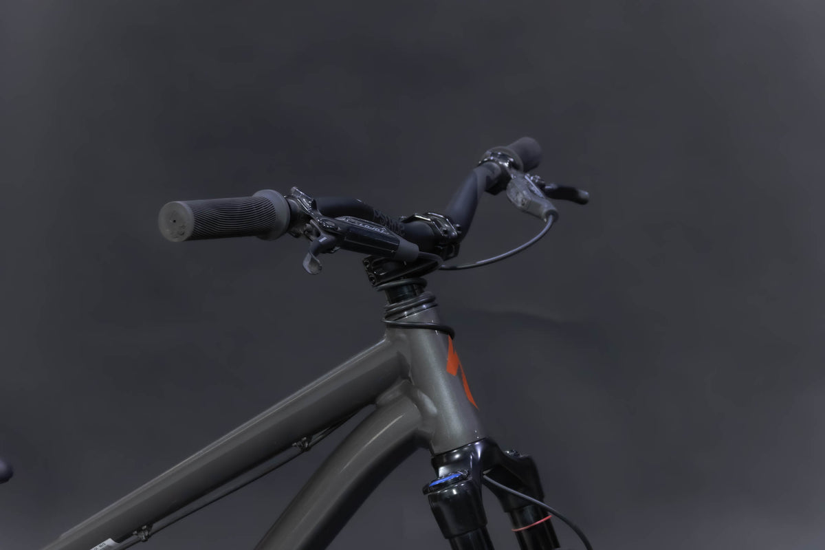 Bicicleta de ciudad Dirt Jump Specialized P.3 Talla Regular Rodado 26" (2023) Seminueva