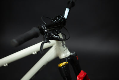 Bicicleta de ciudad Dirt Jump Pivot Point Talla Regular Rodado 26" (2024) Seminueva