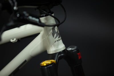 Bicicleta de ciudad Dirt Jump Pivot Point Talla Regular Rodado 26" (2024) Seminueva