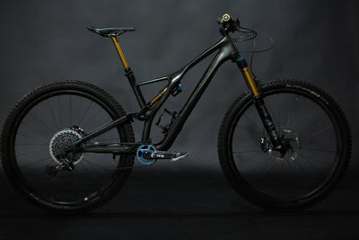Bicicleta de Montaña Doble Suspensión Specialized Stumpjumper Rodado 29" Talla Large (2019) Seminueva