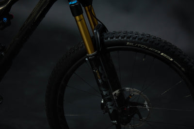 Bicicleta de Montaña Doble Suspensión Specialized Stumpjumper Rodado 29" Talla Large (2019) Seminueva