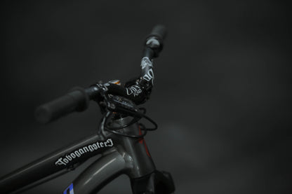 Bicicleta de ciudad Dirt Jump Specialized P3 Talla Regular Rodado 26" (2022) Seminueva