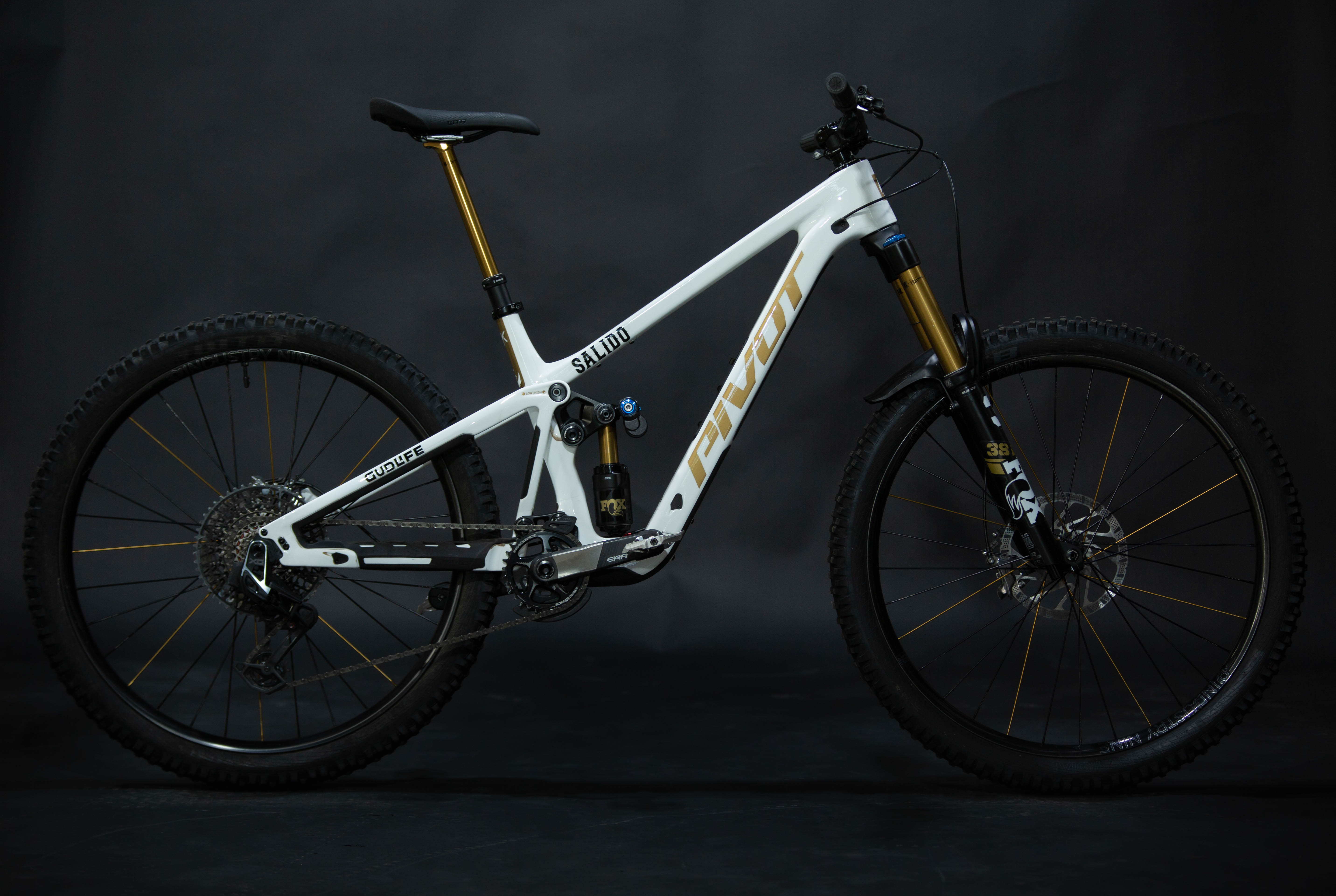 Bicicleta De Montaña Doble Suspensión Pivot Cycles Firebird 29" Talla Medium (2025) Seminueva
