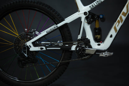 Bicicleta De Montaña Doble Suspensión Pivot Cycles Firebird 29" Talla Medium (2025) Seminueva